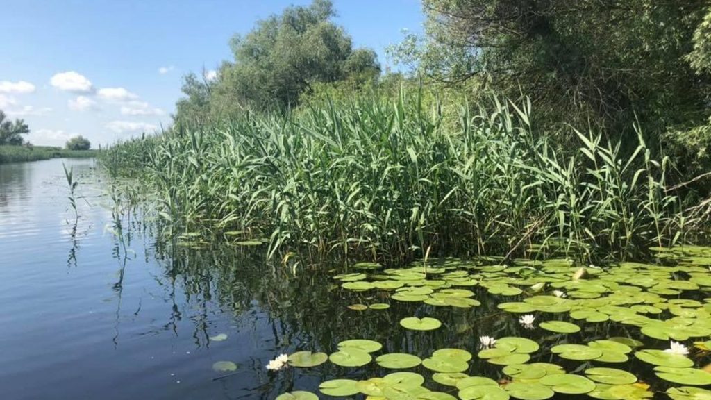 Delta Dunării rămâne una dintre cele mai apreciate destinații turistice din România